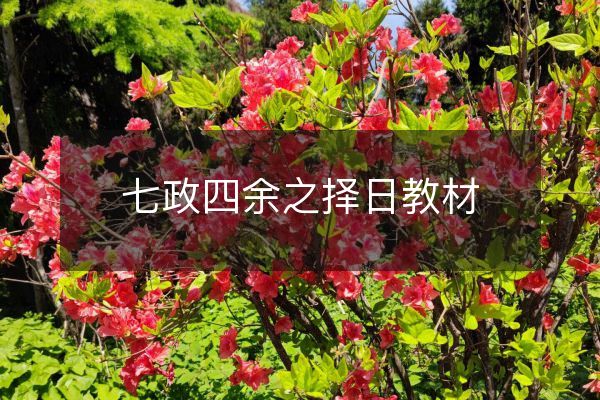 七政四余之擇日教材
