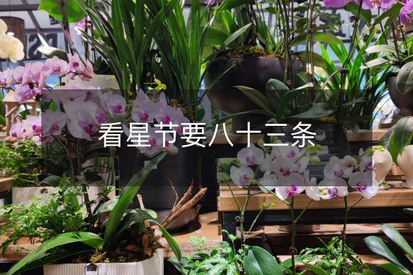 看星節要八十三條
