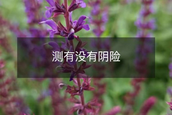測有沒有陰險