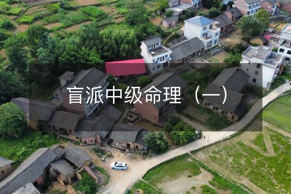 盲派中級命理(一)