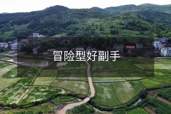 冒險型好副手