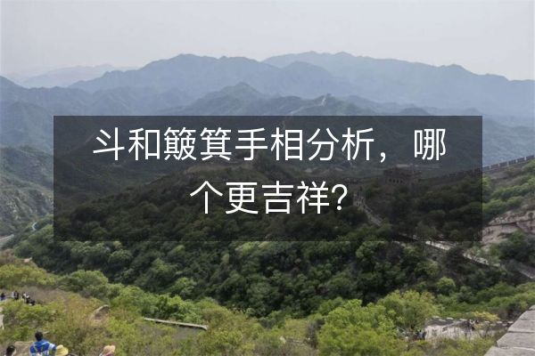 斗和簸箕手相分析，哪個更吉祥？