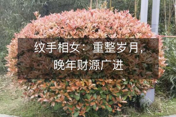 紋手相女：重整歲月，晚年財源廣進