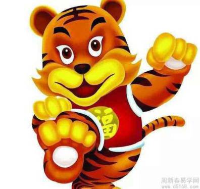 2019年屬虎的今年多大,屬虎的人2019年幾歲了