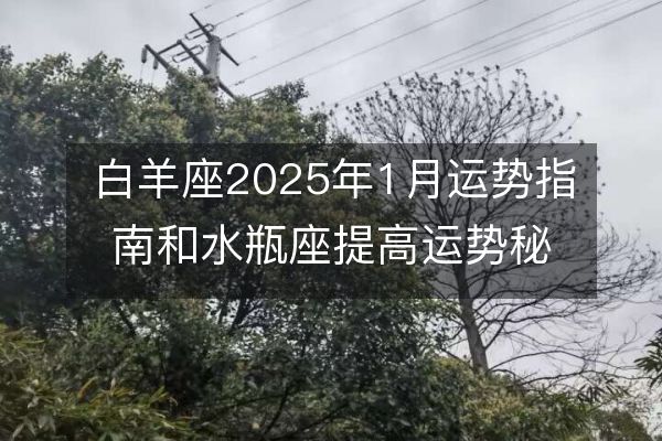 http://m.zsmingsu.com/d/file/xz/aries/2025-01-12/55815354ce7e24523d7da4d1514ce639.jpeg