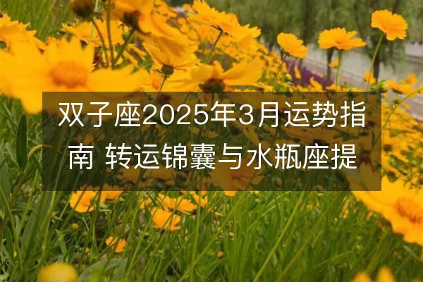 雙子座2025年3月運勢指南 轉運錦囊與水瓶座提升幸運方法