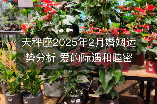 http://m.zsmingsu.com/d/file/xz/libra/2025-02-15/cf23e5a8e587d48128fdc68091cc03e6.jpeg