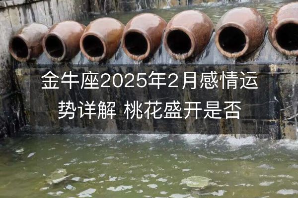 金牛座2025年2月感情運勢詳解 桃花盛開是否