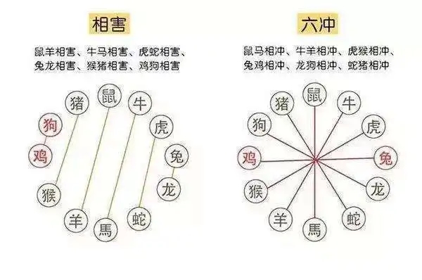屬雞人2023年8月運勢及運程解讀 2023年8月屬雞人的命運及運勢怎樣 屬雞人2023年8月運勢及運程解讀 2023年8月屬雞人的命運及運勢怎樣